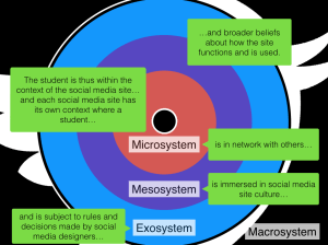 Network Animantion Bronfenbrenner.017
