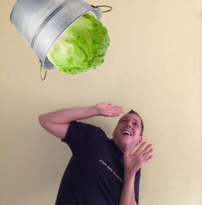 iceberglettuce