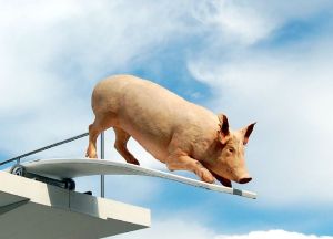 1524745711_75017be62b_o