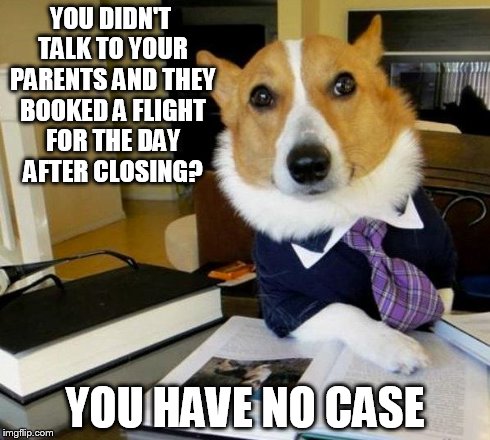 lawyer-dog