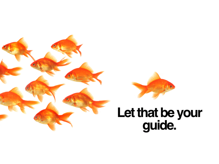 Coaching Digitla Leaders - LEAD365 copy.015