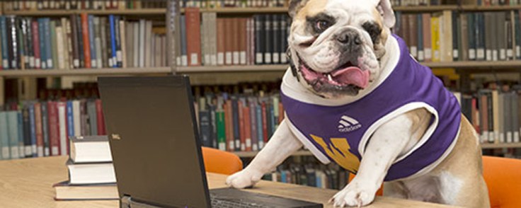 rockycomputer500x200