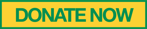 donate-now-001